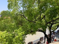 -长兴菜馆(高桥店)