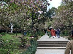 -南山植物园