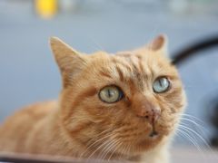 -METAL HANDS(五道营店)