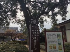 -青羊宫