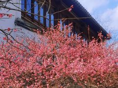 -相门城墙文化休闲景区