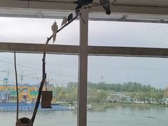 -北戴河圣蓝海洋公园