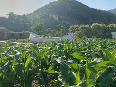 -宁波九龙湖开元度假村