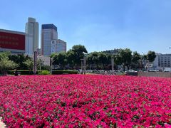 -泉城广场