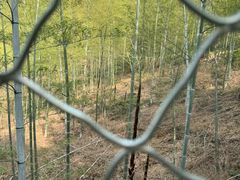 -东明山森林公园
