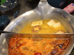 台式麻辣花胶鸡鸳鸯锅-湊湊火锅·茶憩(世博大道店)