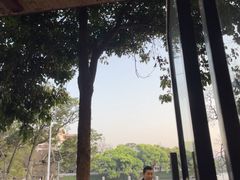 -谢怀亮芝麻茶