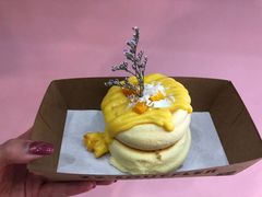 -狐狸和向日葵(北京路店)
