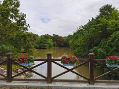 -上海海湾国家森林公园