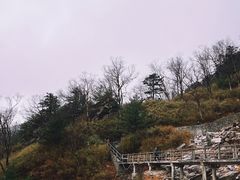 -朱雀国家森林公园