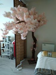 -至臻康妍健康管理中心
