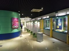 -上海昆虫博物馆