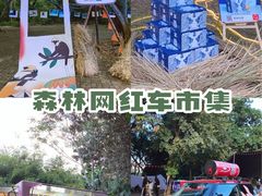 -南宁良凤江国家森林公园