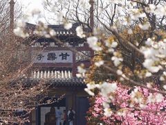-三国水浒景区(无锡影视基地)