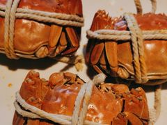 -杨氏青龙虾·羊蝎子(金盛路总店)