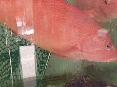 -裕兴酒家·34年老字号