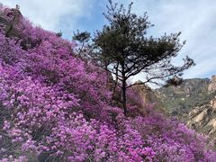 -青岛大珠山景区