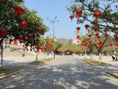 -厦门大学(思明校区)