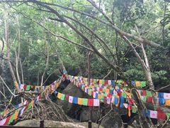 -七仙岭温泉国家森林公园