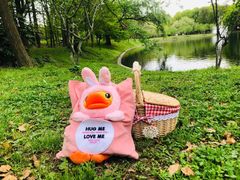 -上海共青森林公园