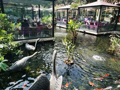 -鹅公村·国家非遗传承(荔湾店)