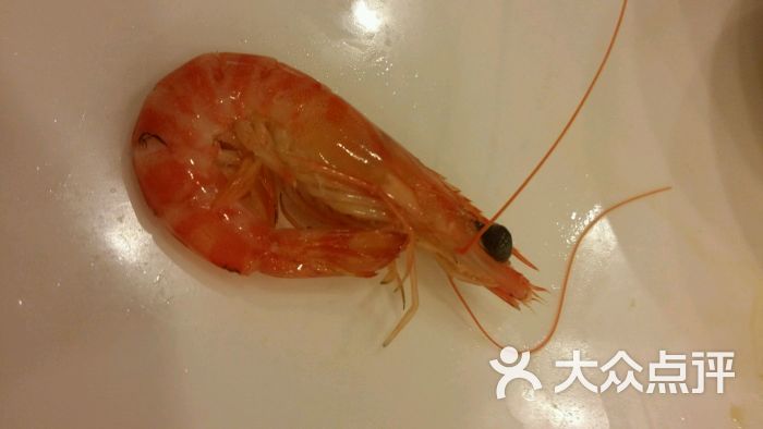 渔港明珠酒店图片 - 第175张