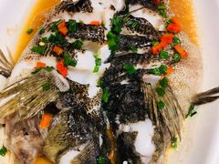 -阿巧一号私房菜(止园路店)