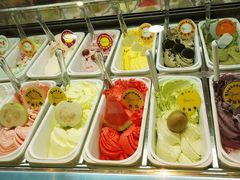 -柠檬车露(卖草地店)