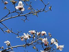 -东华门大街小区