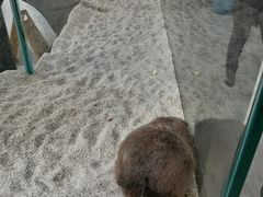 -海合安武汉极地海洋公园