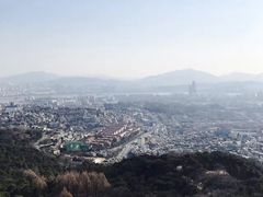 -line friends(明洞旗舰店)