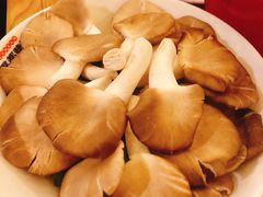 鲜平菇-雾都渣渣火锅(南城智汇城店)
