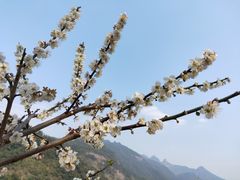 -广州市流溪河国家森林公园