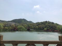 -龙吟九品(青龙山庄店)