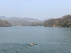 -佛手湖郊野公园