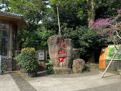-海口火山口国家地质公园