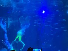 -海合安成都极地海洋公园