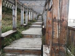 -白草畔自然风景区