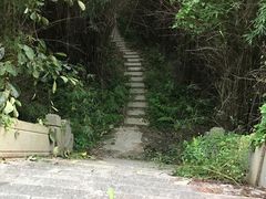 -东平国家森林公园