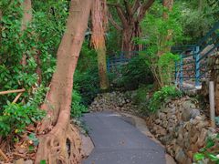 -湖泉半山温泉