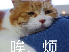 -北京大学-燕南食堂