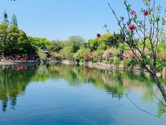 -无锡蠡湖国家湿地公园-蠡园