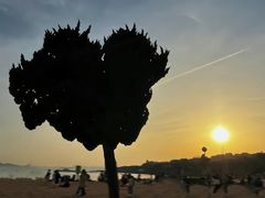 -青岛第二海水浴场