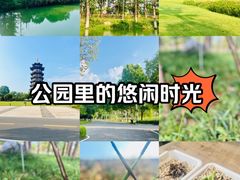 -洋湖国家湿地公园