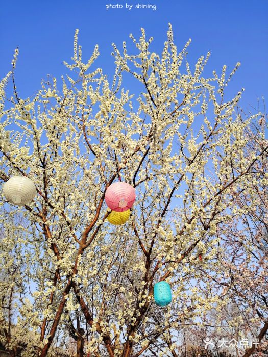 三里河公园图片