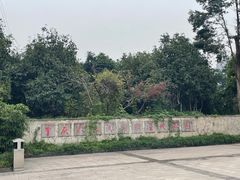-重庆彩云湖湿地公园