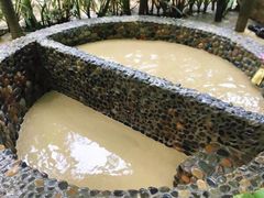 -100蛋泥浆浴