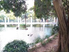 -九龙公园