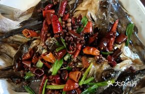 Air-dried Yellow Catfish
