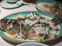 -大榕树下顺德菜(融创茂店)